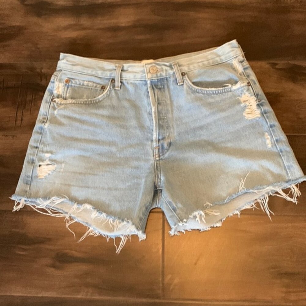 Agolde Parker Long shorts in Parade